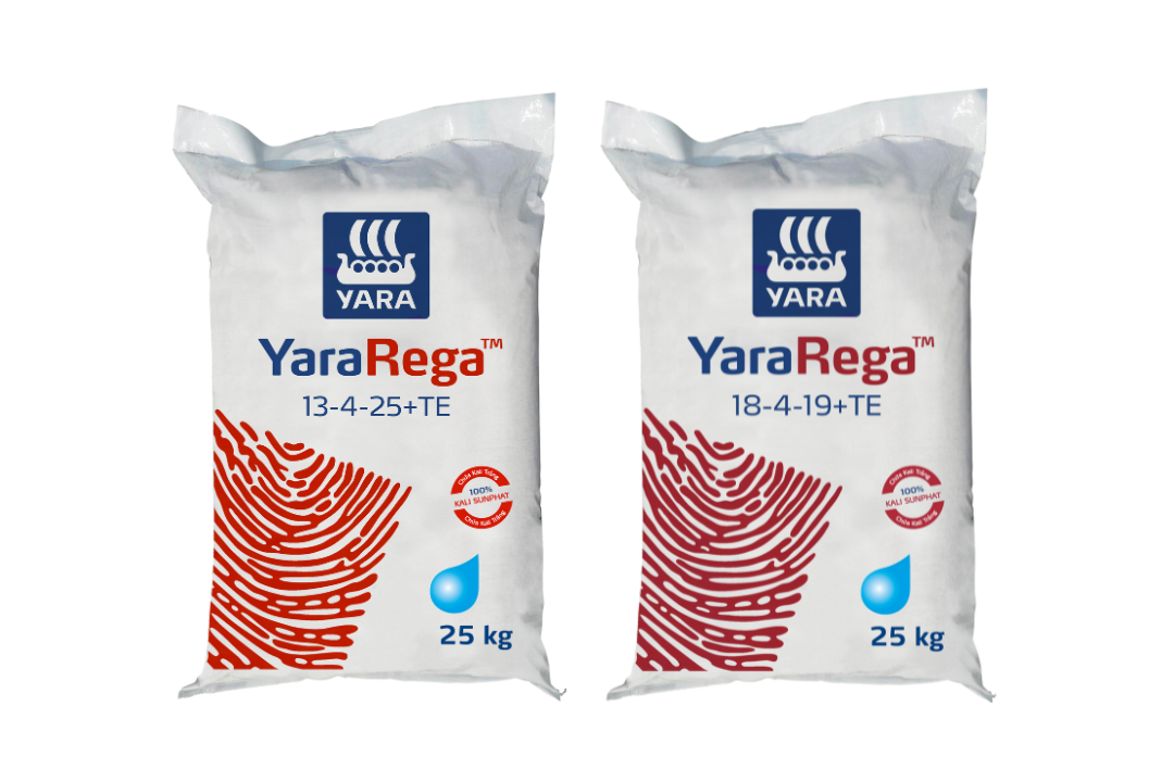 YaraRega - Giải pháp tưới tiết kiệm - hiệu quả