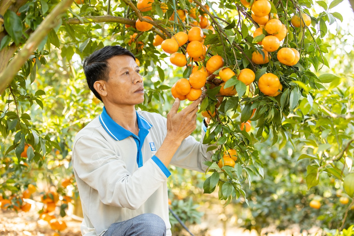 &Ocirc;ng Trương Văn Lưu