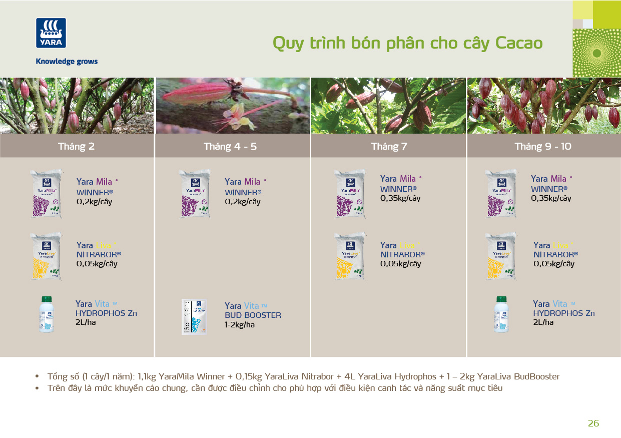 Vn_Quy trinh bon phan cho cay ca cao.jpg