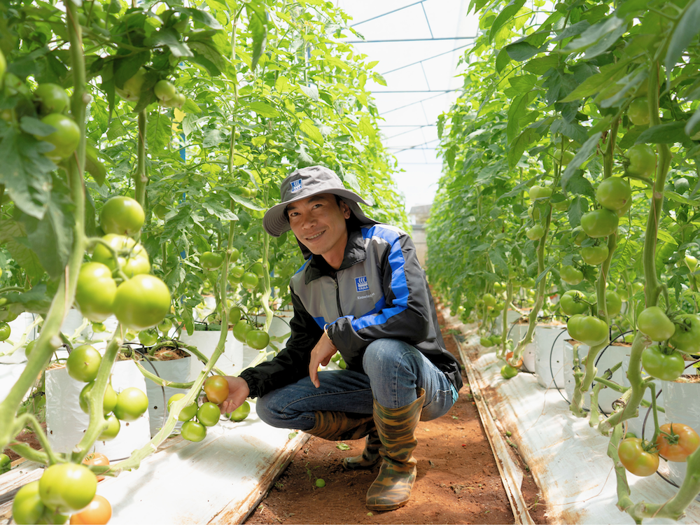 B&ugrave;i Trọng Thức