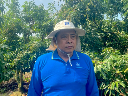 &Ocirc;ng Vi Văn Hiệu