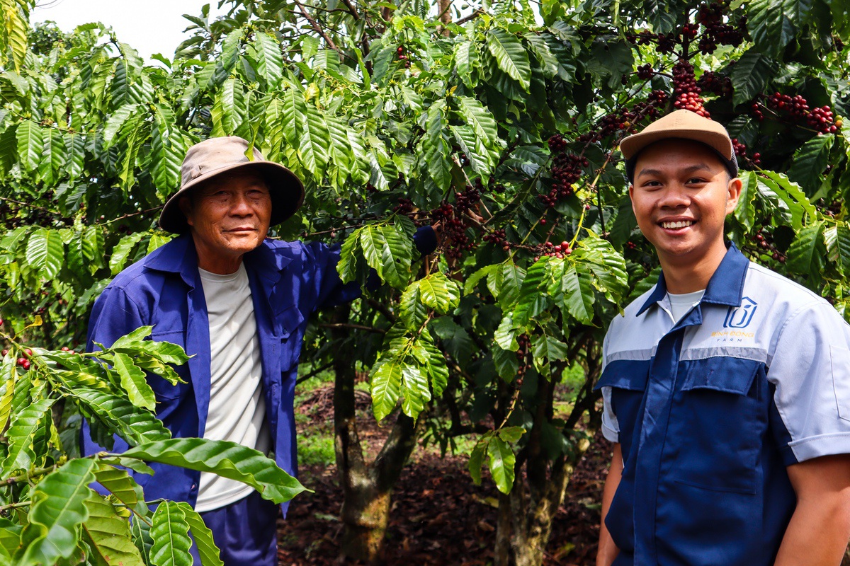 Nguyễn B&igrave;nh Đ&ocirc;ng