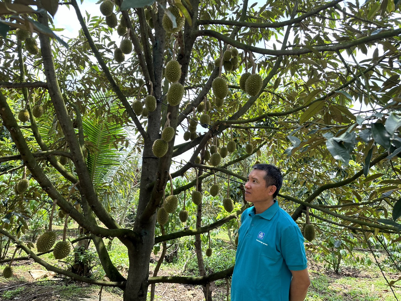 Lưu T&ugrave;ng L&acirc;m