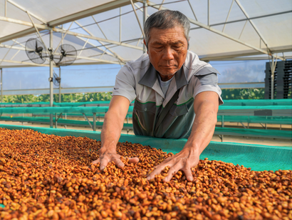 &Ocirc;ng Nguyễn B&igrave;nh Đ&ocirc;ng