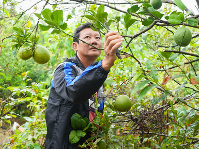 &Ocirc;ng Huỳnh C&ocirc;ng Thuận