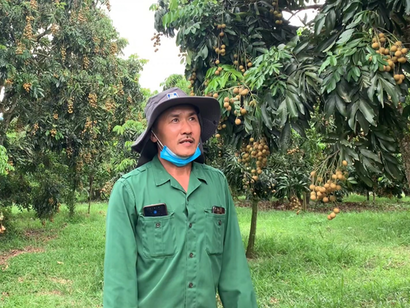 &Ocirc;ng Đ&agrave;o Ngọc To&agrave;n