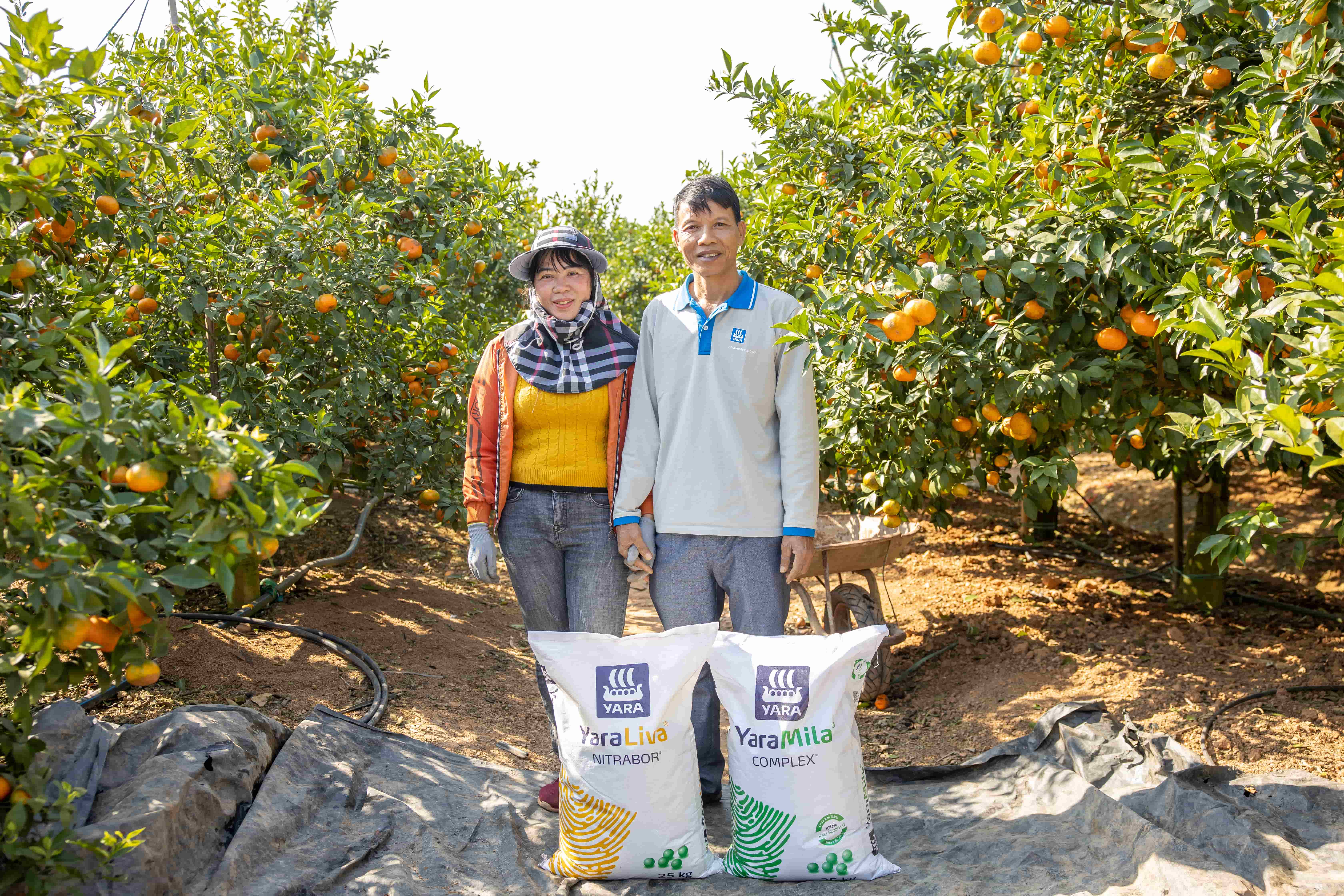 Lựa chọn phân bón