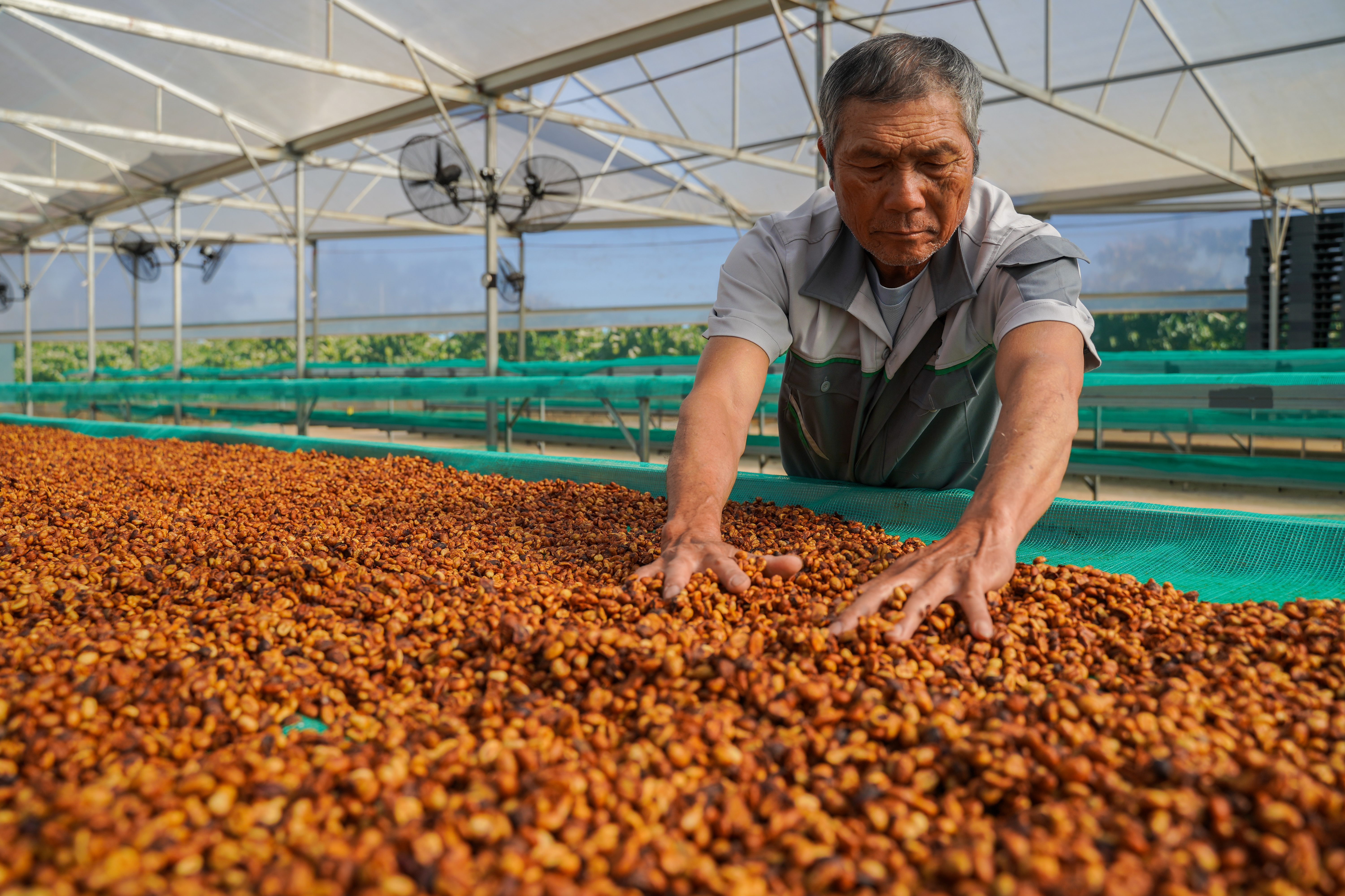 Ông Nguyễn Bình Đông